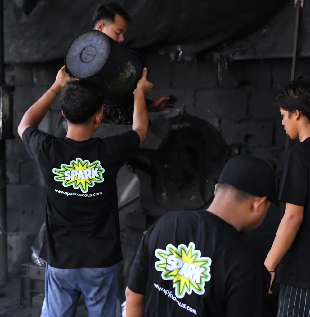 spark charcoal
