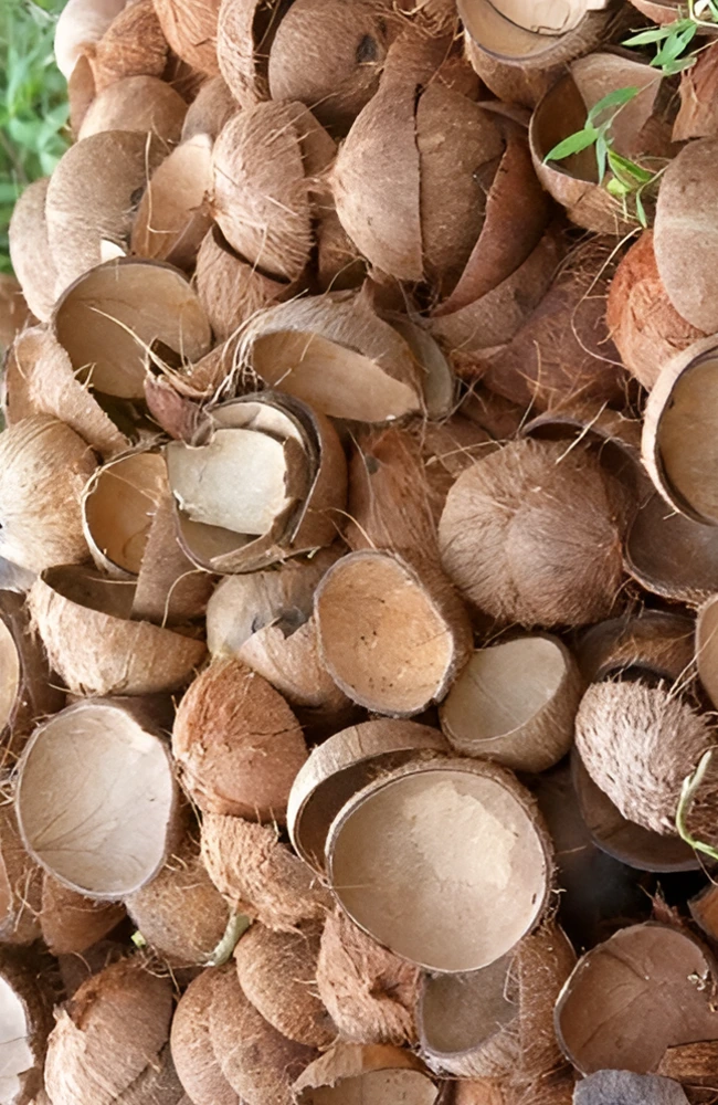 coconut shell, spark charcoal, coconut charcoal
